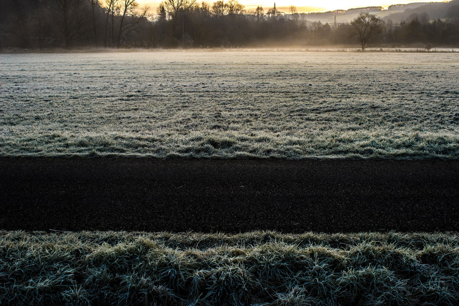 Frozen Grass By Andre Koch